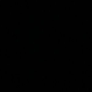 Meet your Posher, Michaela